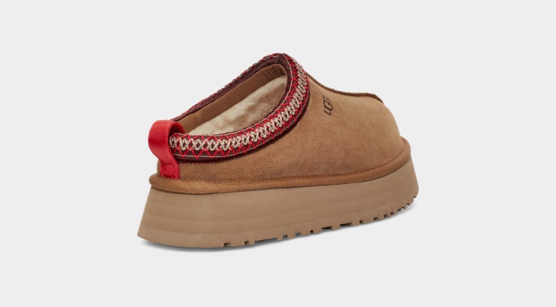 Ugg Tazz Tofflor Dam Bruna | AR0394582